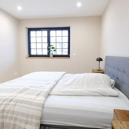 Fewo Brombach - Neubau Im Loft-Style Eg1 Lörrach Exteriér fotografie