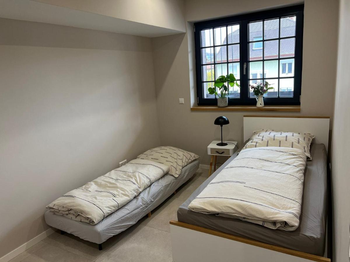 Fewo Brombach - Neubau Im Loft-Style Eg1 Lörrach Exteriér fotografie